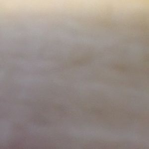 Meet your Posher, Dionte